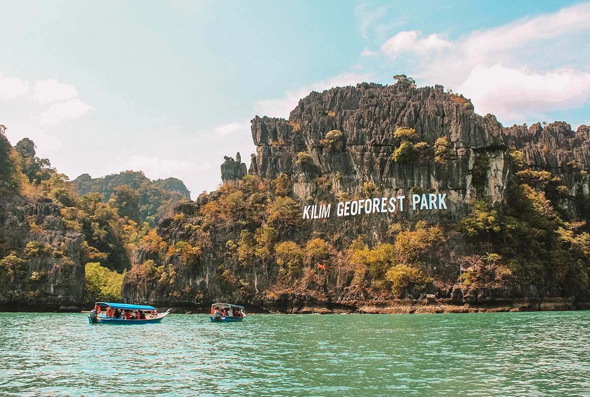 Jelajahi Ekosistem Mangrove Langkawi yang Unik Melalui Mangrove Tour